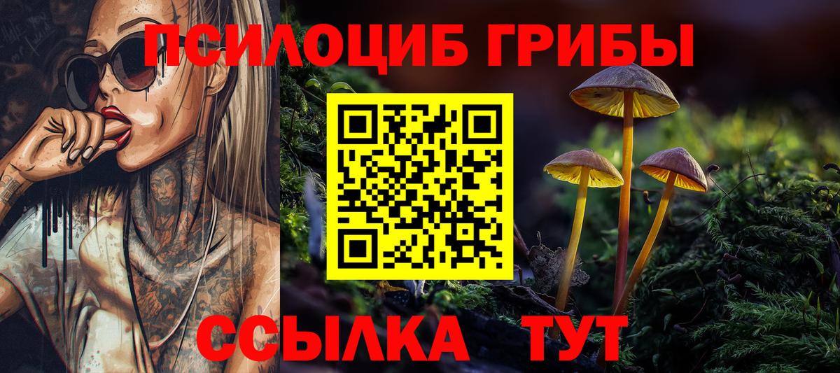 Галлюциногенные грибы MAGIC MUSHROOMS Моздок
