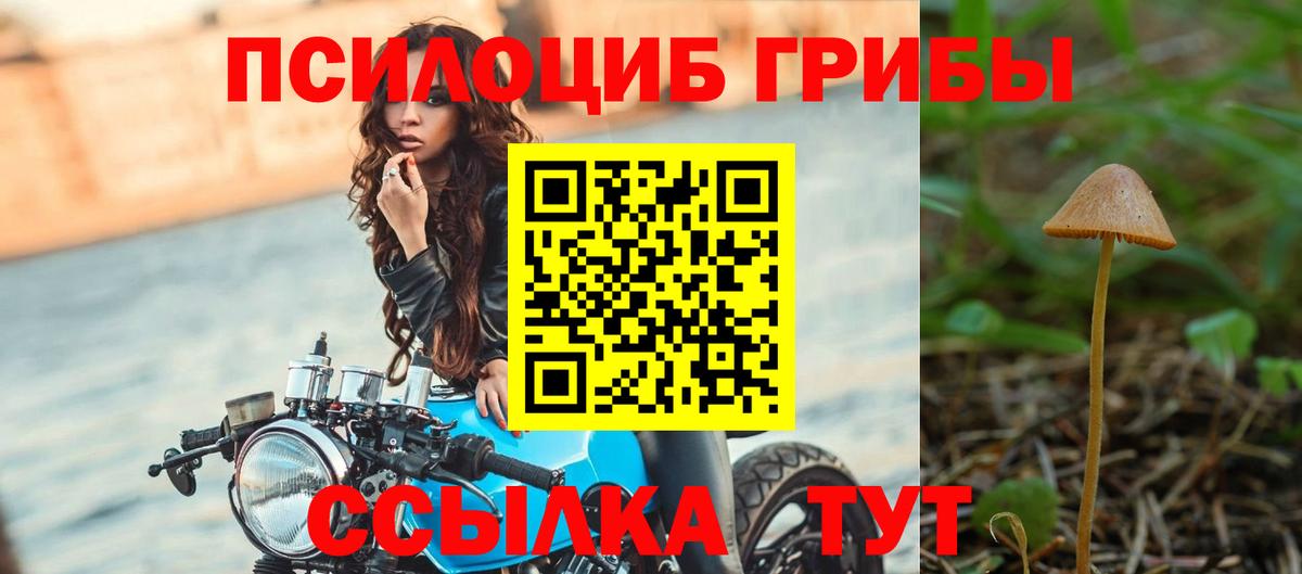 Псилоцибиновые грибы GOLDEN TEACHER  Моздок  Галлюциногенные грибы GOLDEN TEACHER 