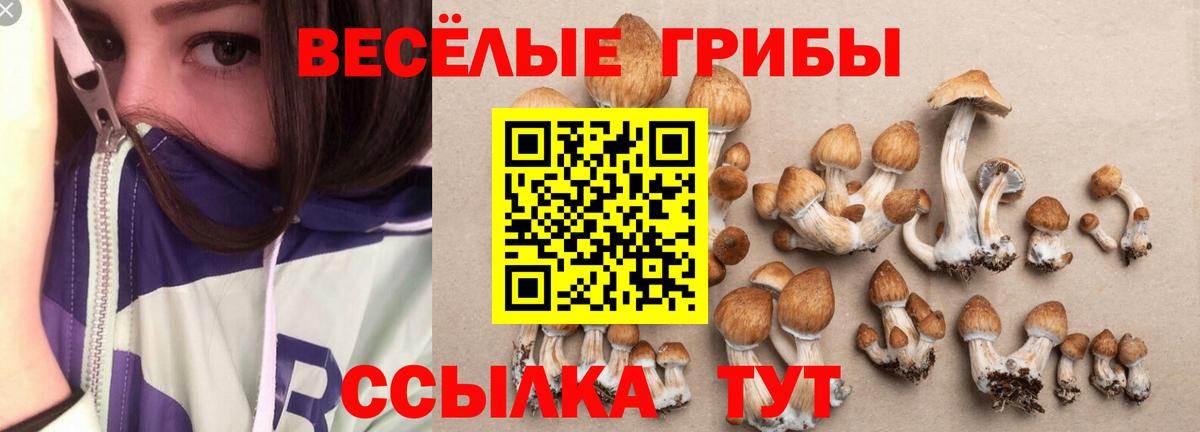 Псилоцибиновые грибы Magic Shrooms Моздок