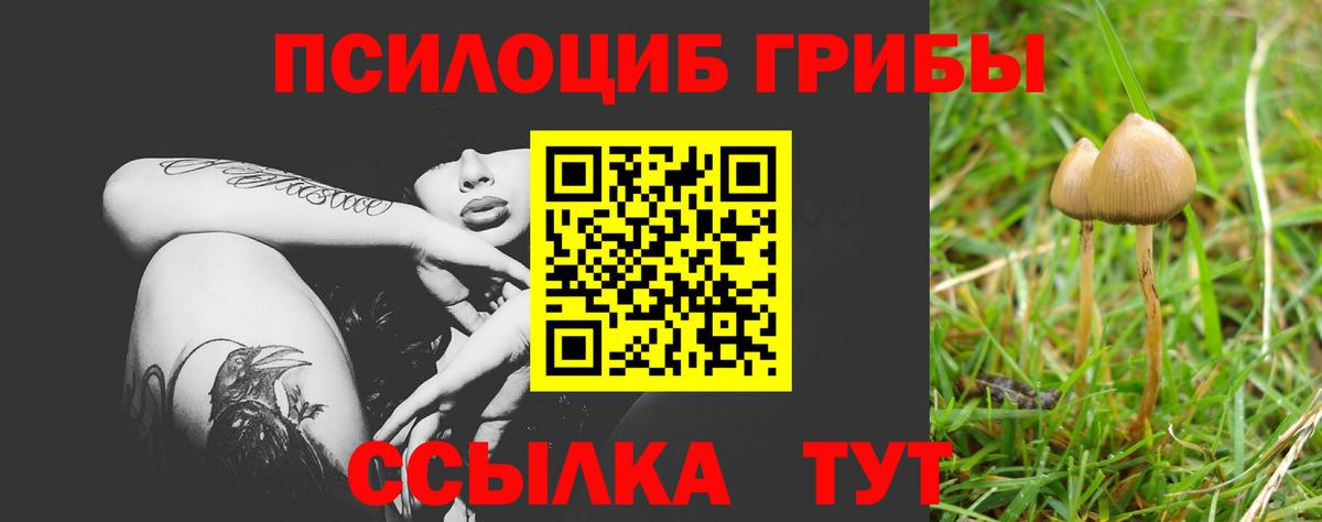 Моздок  купить  сайты  Вход с VPN  Псилоцибиновые грибы MAGIC MUSHROOMS 