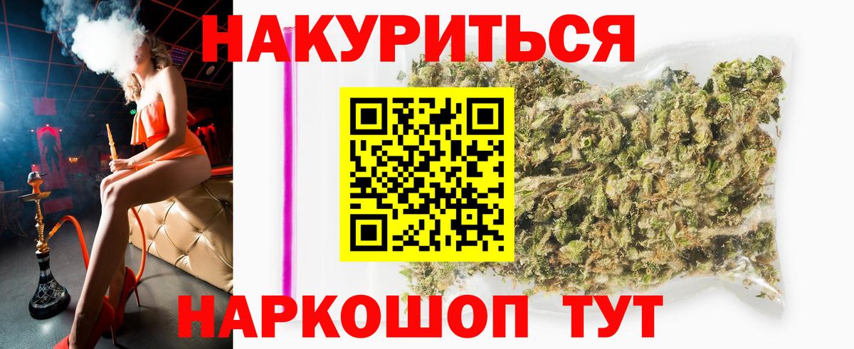 Каннабис планчик Моздок